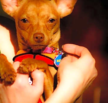 Photo of Chloe