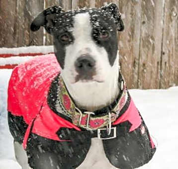Photo of Cassie
