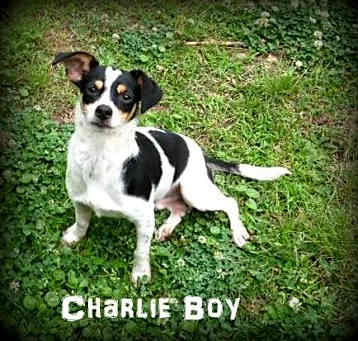 Photo of Charlie