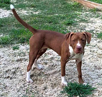 Photo of Hershey