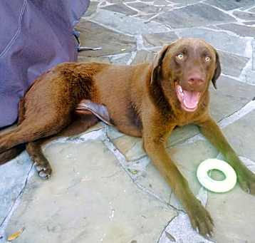 Photo of Carmela