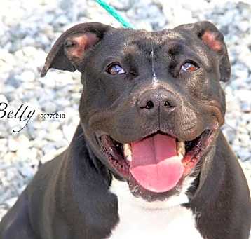 Photo of Betty