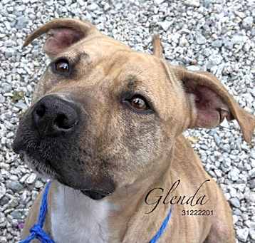 Photo of Glenda