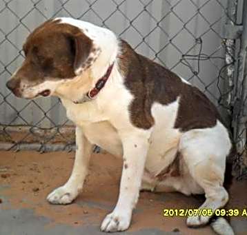 Photo of Owen