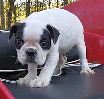 Photo of cxvxcvx2434