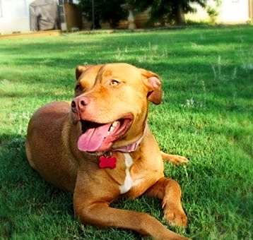 Photo of Kira