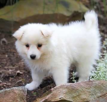 Photo of Buffy