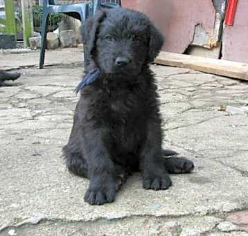 Photo of fghjhgjhg54