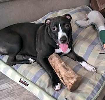 Photo of HARLEE MIZZEN