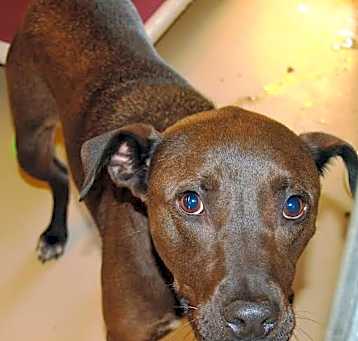 Photo of Maverick
