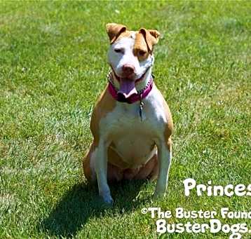 Photo of Princess