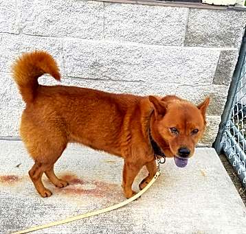 Photo of Annie