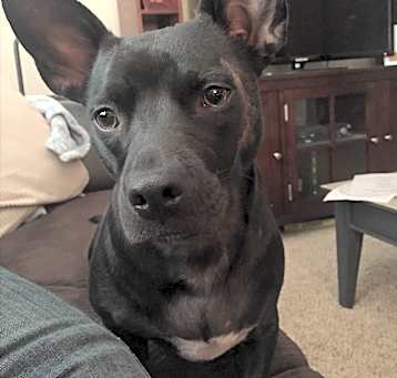 Photo of Lulu