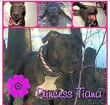 Photo of Tiana