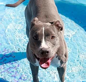 Photo of Bella