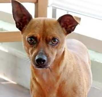 Photo of Toto