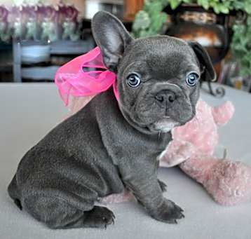 Photo of Angie