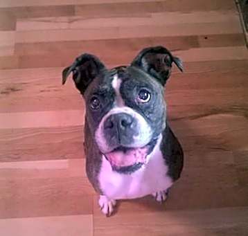 Photo of Amy