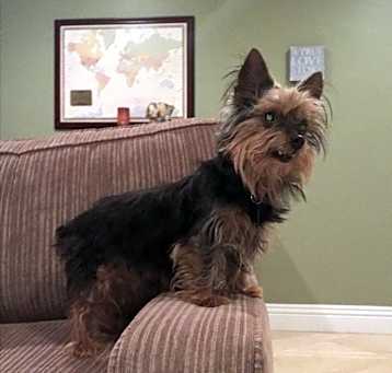 Photo of Ace