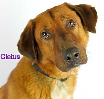 Photo of Cletus