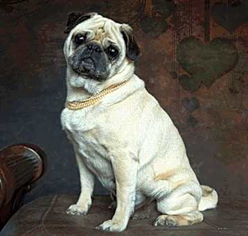 Photo of Aunt Mabel