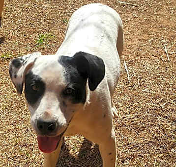 Photo of Ruckus