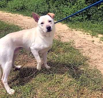 Photo of Apollo
