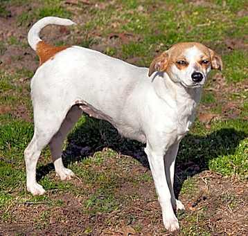 Photo of Carmelita