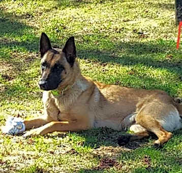 Photo of Mia-$300
