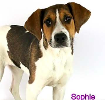 Photo of Sophie