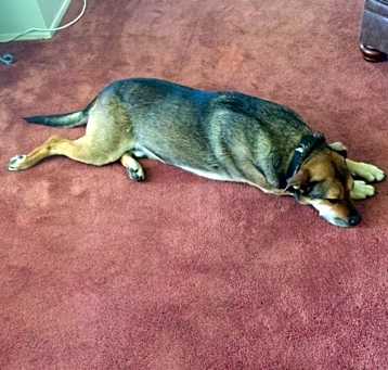 Photo of Chopper
