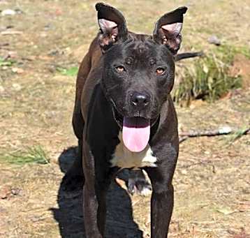 Photo of Gaspar