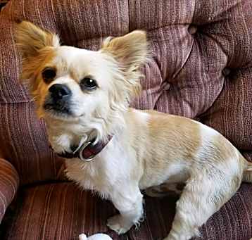 Photo of Clyde