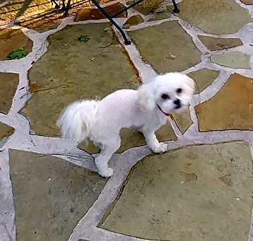 Photo of Humphrey (FL)