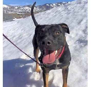 Photo of Zeus