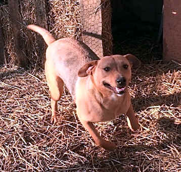 Photo of JuJu Mac