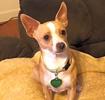 Photo of Jewel