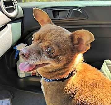 Photo of Jimmy Dean