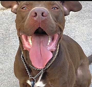 Photo of Rossi