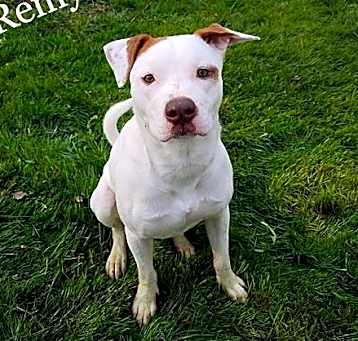 Photo of Remy