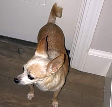 Photo of Test