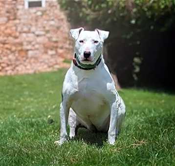 Photo of Moo
