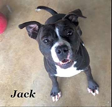 Photo of Jack
