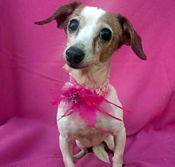Photo of Ruthie