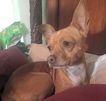 Photo of Lucy
