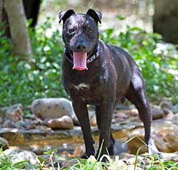 Photo of Phoenix