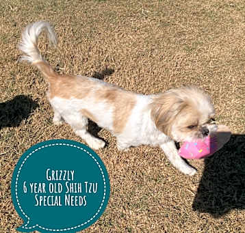 Photo of Grizzley
