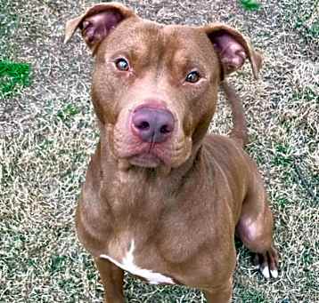 Photo of Boudreaux