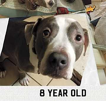 Photo of Tyson