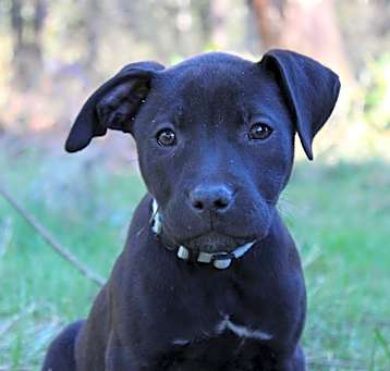 Photo of Chloe